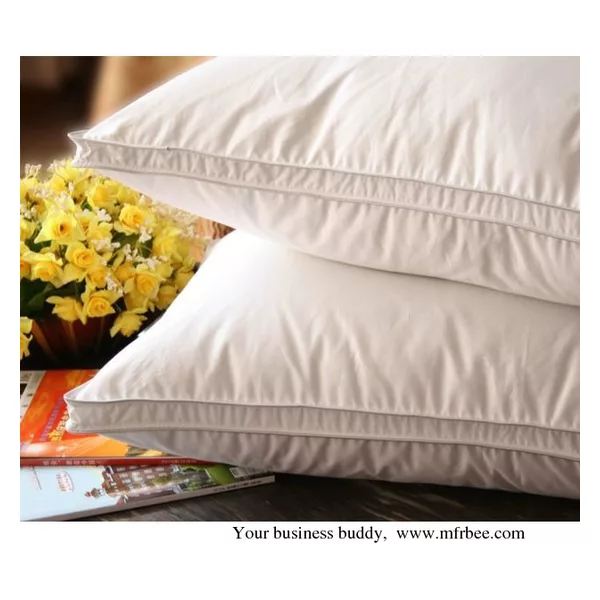 Goose Feather cushion inner