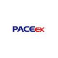 pacebattery .com