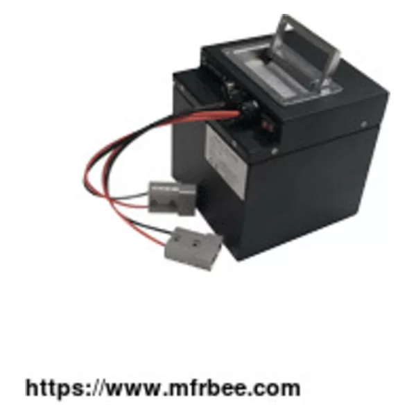 24V Lithium Ion Battery Pack