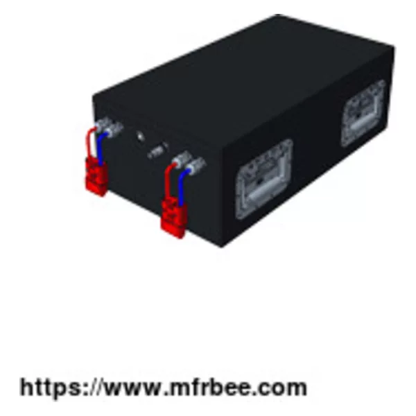 48V Lithium Ion Battery Pack