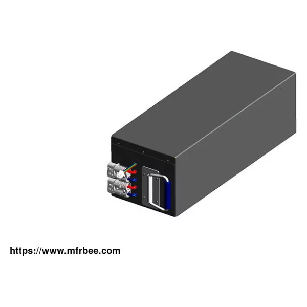 48V 40Ah Lithium Ion/Lifepo4 Battery Pack