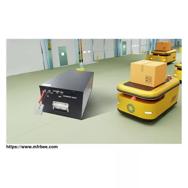 CUSTOMIZED LITHIUM BATTERY PACK WITH BMS