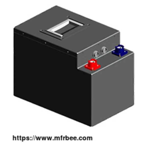 48V Lithium Ion Battery Pack