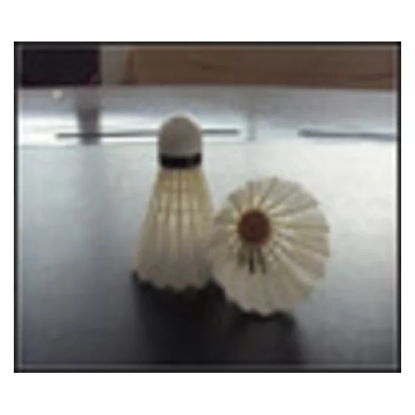 High quality with the competitive price shuttlecocks