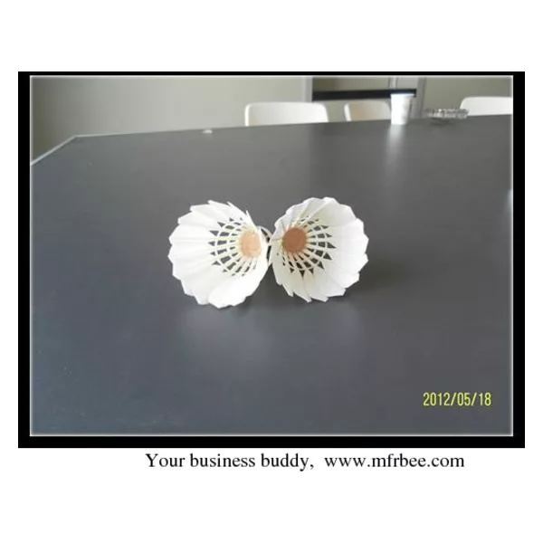 Lowest price badminton shuttlecock