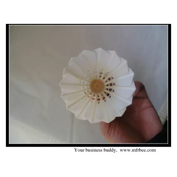 Reasonable price and super grade duck feather shuttlecocks