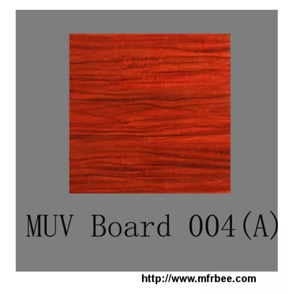 Muv Board 017