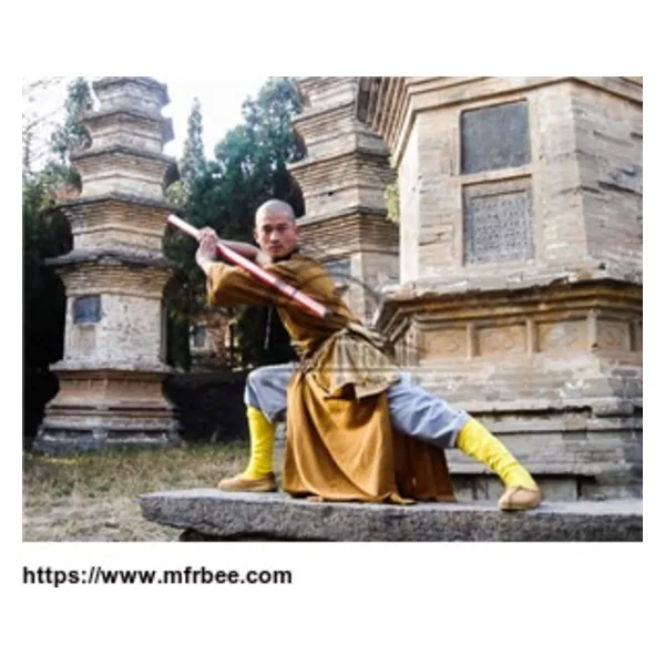 Shaolin Kung Fu Schools in China