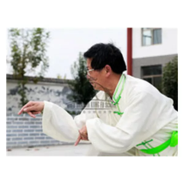 mantis training in Qufu Shaolin Kung Fu School