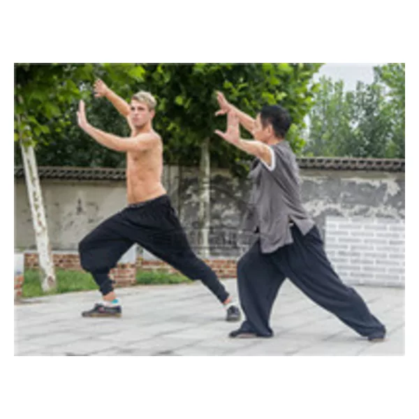 taichi training in Qufu Shaolin Kung Fu School