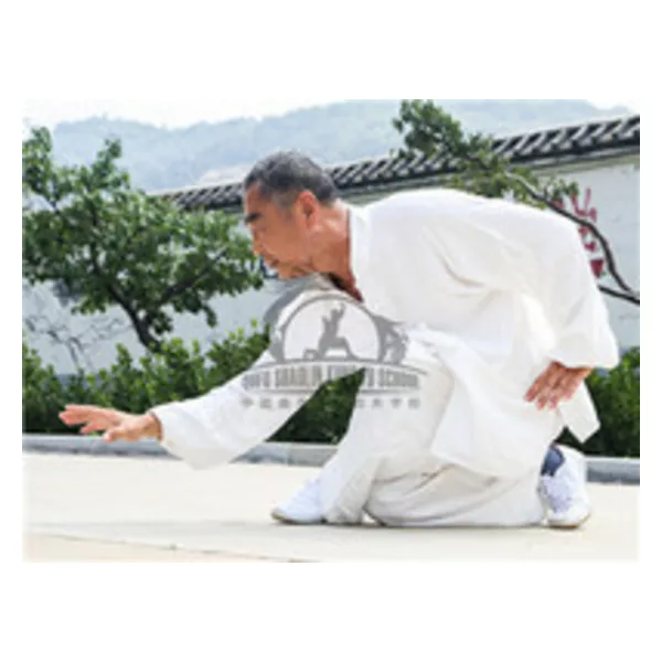 Xingyi training in Qufu Shaolin Kung Fu School