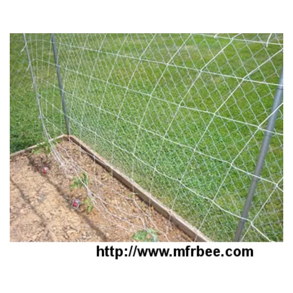 Nylon Trellis Netting Supports Plant Grow Vertically