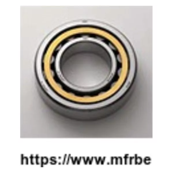 Double Rall 6004 Deep Groove Ball Bearings