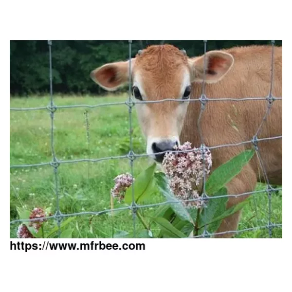 Hinge joint fence