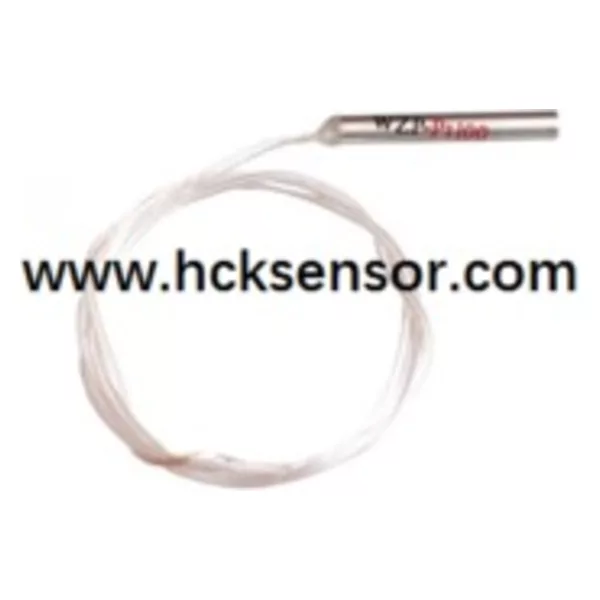 WZP PT100 temperature sensor waterproof fiberglass temp Probe