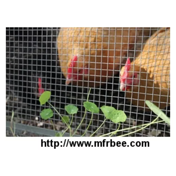 Hardware Cloth - Smallest Mesh Protects Poultry