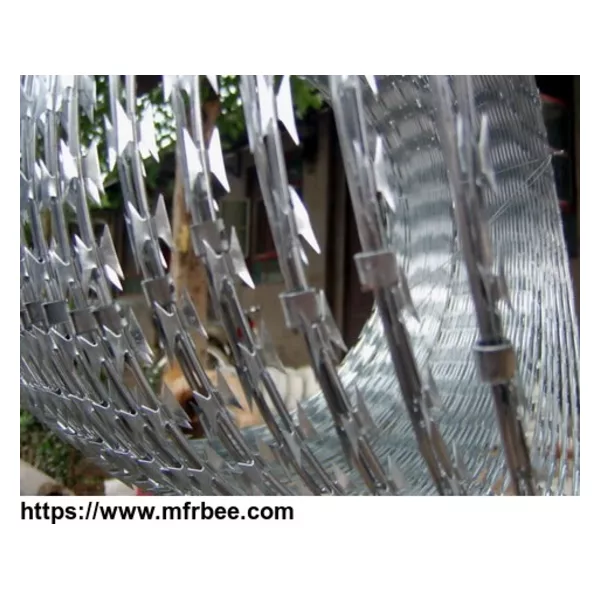 Galvanized Razor Wire