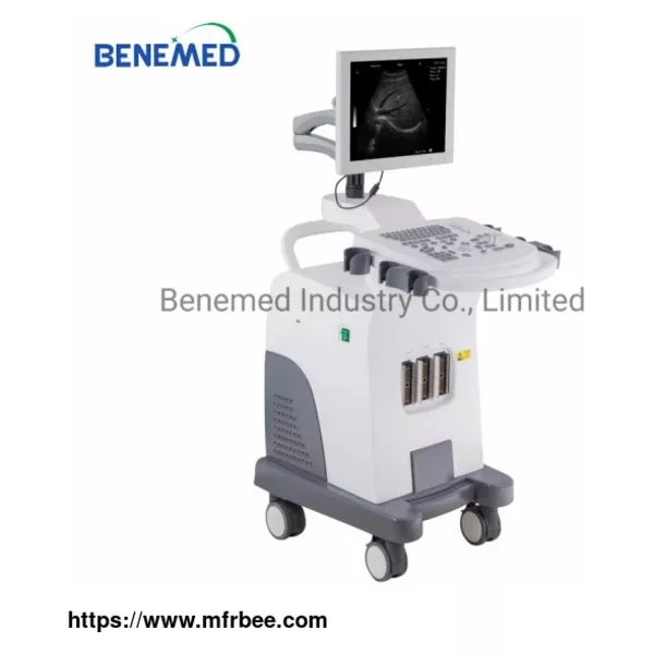 Trolly Based Good Resolution Black and White Ultrasound Scanner