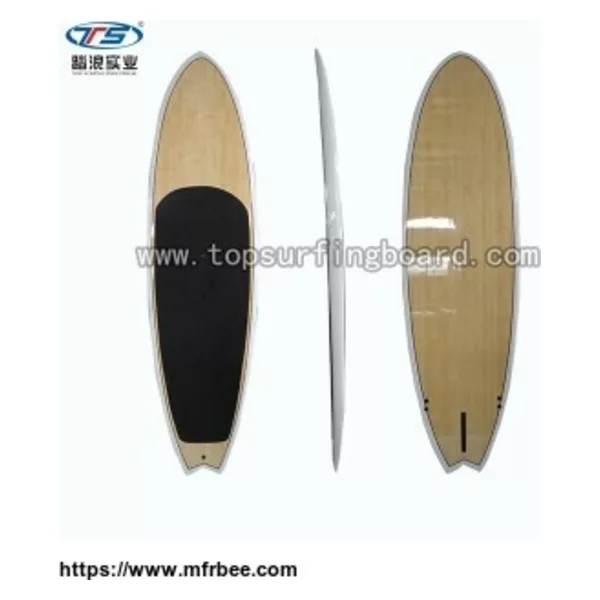 WindSurfing Board WS-02