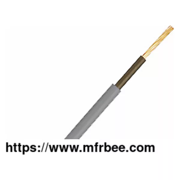 BS 6004
