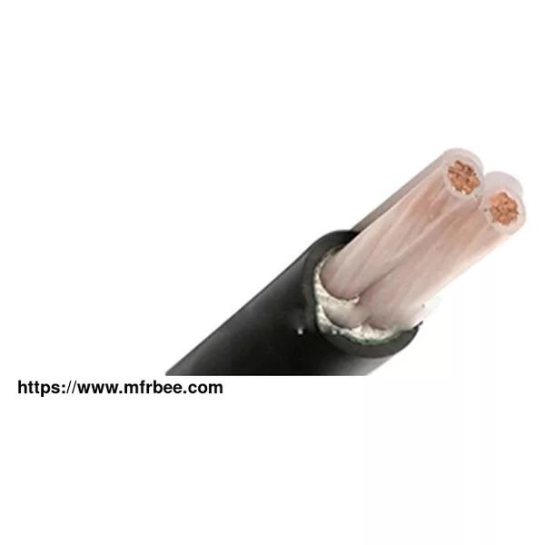 2 Cores Power Cable (XLPE Insulated)