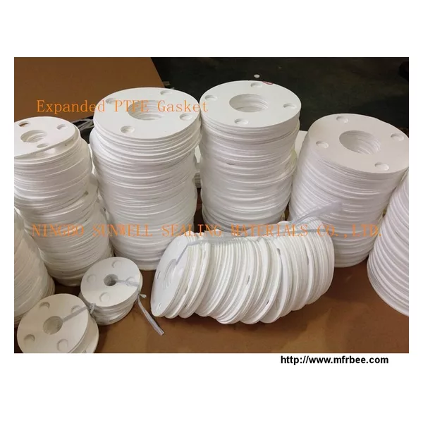 Expanded PTFE Gasket