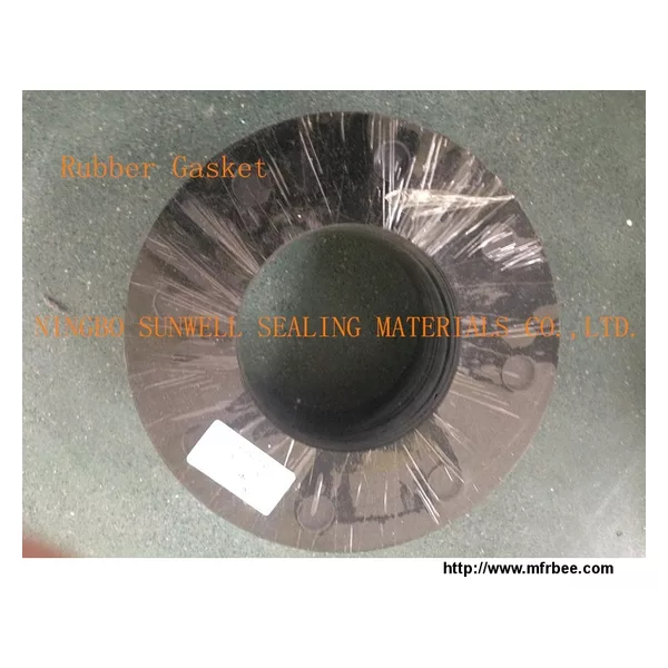 Rubber Gasket