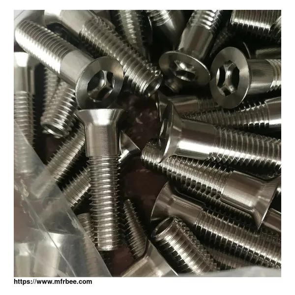 STAINLESS STEEL HOLE SCREWS