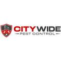City Wide Cockroach Removal Brisbane