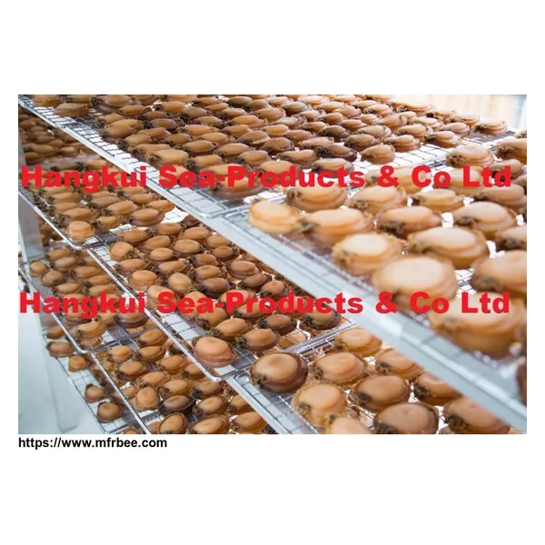 Dried African/Atlantic Abalones (Haliotis midae)