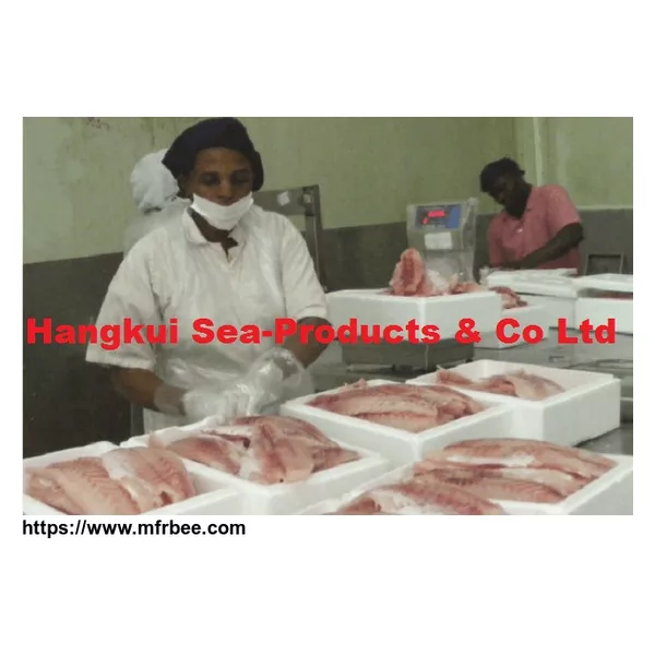 Nile Perch Fish Fillets