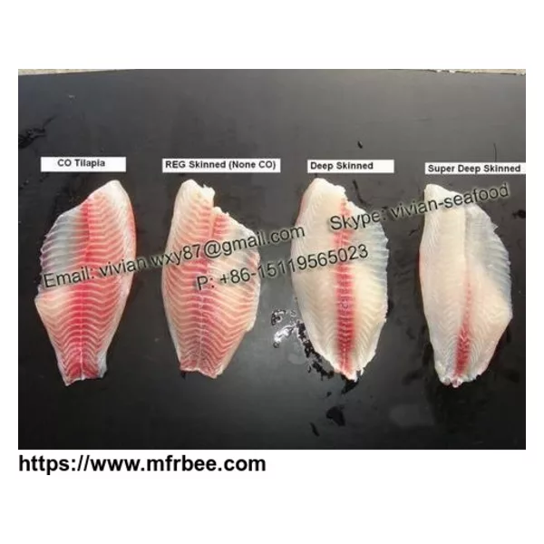 China Frozen Tilapia Fillet (Oreochromis Niloticus, Oreochromis Mossambicus)