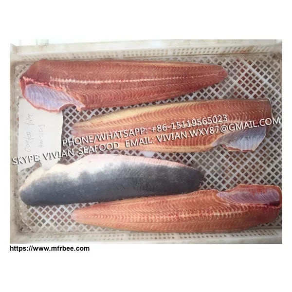 Frozen Catfish fillets / Barge fillets (Clarias fuscus)