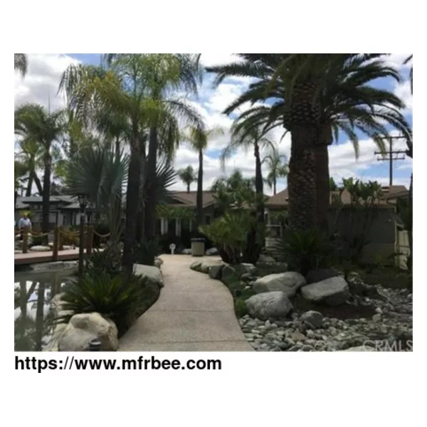 CA Alcohol Rehab Center