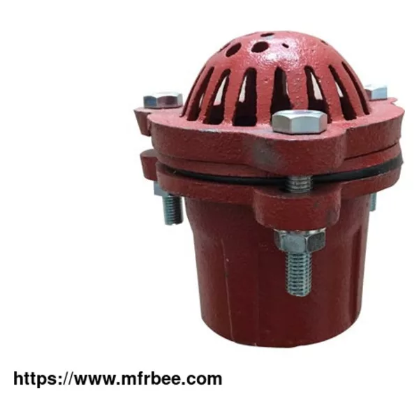 Foot Valve