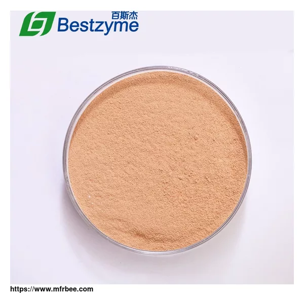 Alkaline Protease