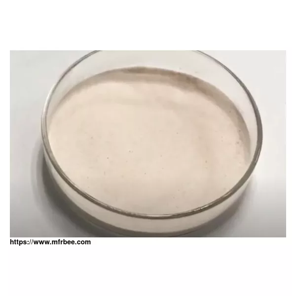 Alpha Galactosidase