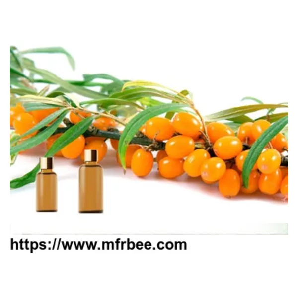 Essential Oils Seabuckthorn Oil