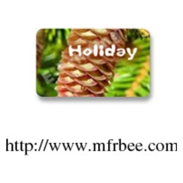 Standard plastic card