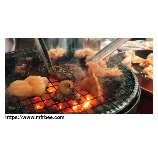 Heat Powered Stove Fan