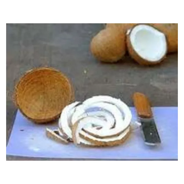 Offer to Sell Coconut Kernel