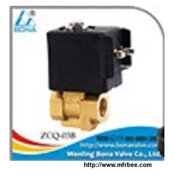 BONA Brass Solenoid Valve for Steam Irons