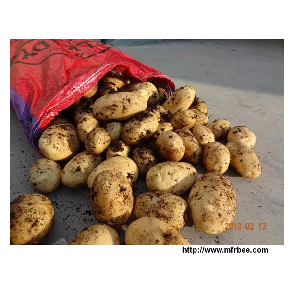 Fresh Potatoes