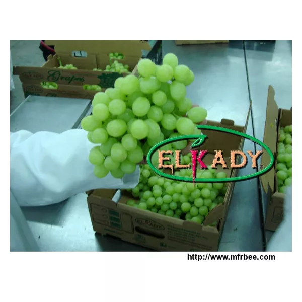 Fresh Grapes