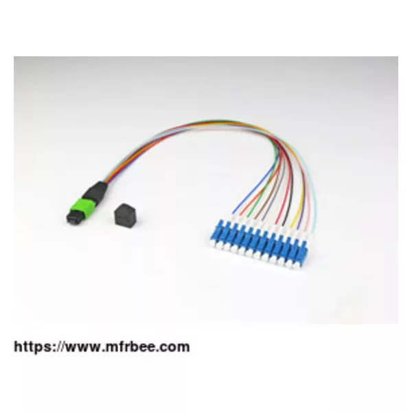 Linear Fiber Array