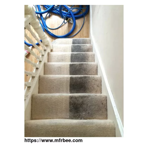 Carpet Cleaning Surfers Paradise