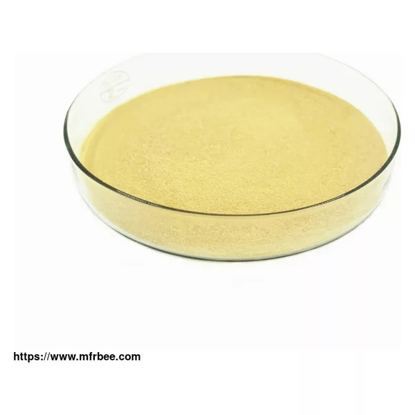 Fungal Alpha Amylase Powder Form