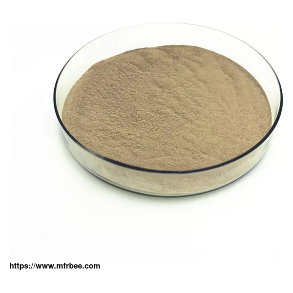 Acid Protease Powder Form