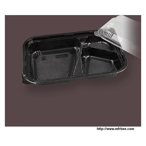 PET fast food bento box
