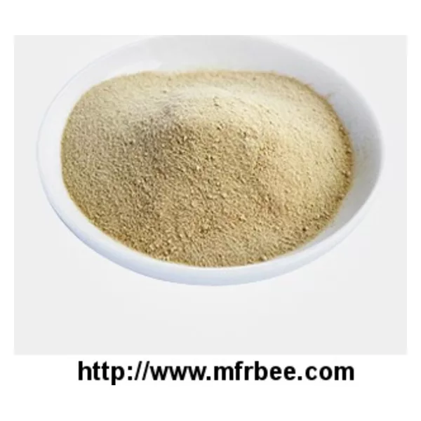 Bee Pollen Extract